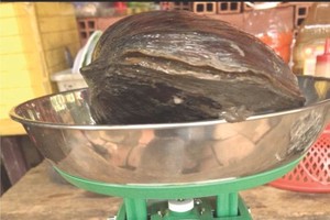 資料圖：互聯網