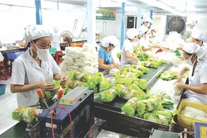 示意圖。（圖片來源：互聯網）