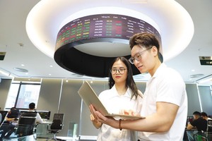 注入越南资本市场的催化剂。