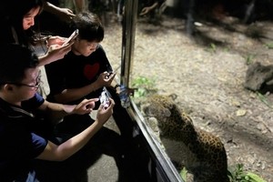 西贡草禽园推出的新活动将为民众、游客带来新奇的夜间动物世界体验。