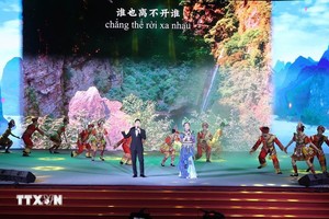 “越中一家亲 天涯共此时”文艺晚会在岘港市举行。