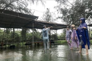 义安省炉门坊居民正在加固店铺，应对10号台风。