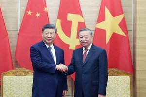 越南共产党中央委员会总书记苏林与中共中央总书记、中国国家主席习近平。