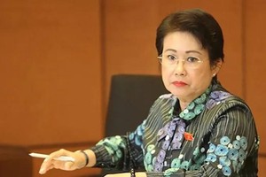 同奈省委原副书记潘氏美清被起诉