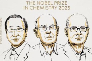 图片来源：诺贝尔奖官网截图。