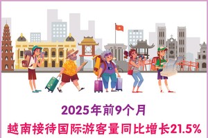 越南接待国际游客量同比增长21.5%