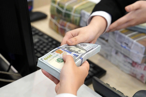 胡志明市接收近80亿美元侨汇