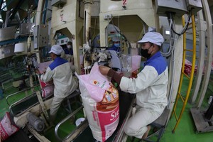 《越南—新加坡大米贸易合作谅解备忘录》获批