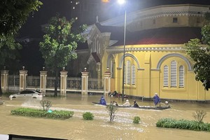 顺化市的河内、雄王、潘周桢、黎贵惇等街水淹深度达0.5至0.7米。