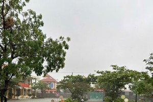  强降雨导致净江沿岸学校受淹。