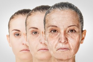 科學家发现了一类可能有助于延缓衰老的免疫细胞。