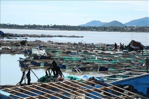 越南德乐省居民水产养殖网箱遭受严重损坏，给当地民众造成重大损失。