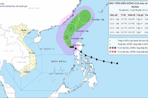 14号台风的路径和强度预测图。