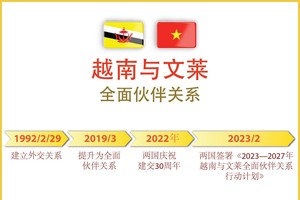 越南与文莱全面伙伴关系继续向前迈进