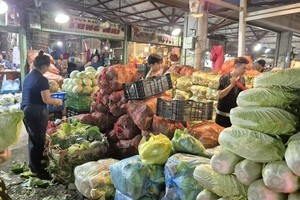 集散市场的部分蔬菜价格开始走低。