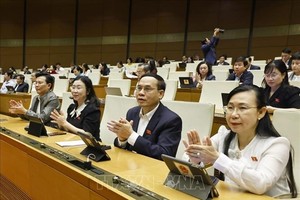 越南第十五届国会第十次会议通过了《国际金融中心专门法院法》。