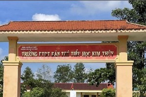 对广治省金银乡金水全日制民族普通学校处以近2亿元的罚款。