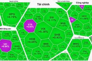 市场爆发，VN-Index上涨近47点。