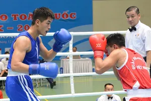 Các võ sĩ boxing sẽ dự giải các đội mạnh toàn quốc vào cuối tháng 4. Ảnh: B.BN