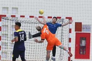 Bóng ném có ít đội dự giải vô địch các câu lạc bộ toàn quốc năm nay. Ảnh: N.D