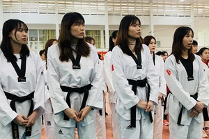 Tuyển taekwondo Việt Nam đã không thành công ở giải vòng loại Olympic nên không giành được suất chính thức dự Olympic Paris (Pháp) 2024 là điều đáng tiếc cho thể thao Việt Nam. Ảnh: MINH MINH