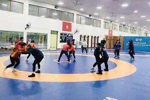 Lực lượng đội vật trẻ chủ nhà Việt Nam chuẩn bị tốt nhất để thi đấu giải trên sân nhà. Ảnh: MINH MINH