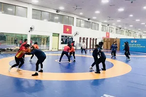 Tuyển thủ vật Việt Nam trở lại tập huấn giai đoạn thứ 2 để chuẩn bị chuyên môn kỹ lưỡng nhất. Ảnh: MINH MINH