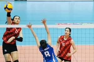 Chủ công Vi Thị Như Quỳnh vẫn là gương mặt quan trọng nhất của đội nữ Quảng Ninh. Ảnh: DŨNG PHƯƠNG