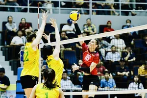 Liên đoàn bóng chuyền Việt Nam đang lấy ý kiến các đội về vấn đề ngoại binh giải vô địch quốc gia 2026. Ảnh: DŨNG PHƯƠNG