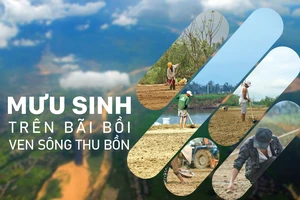 Mưu sinh trên bãi bồi ven sông Thu Bồn