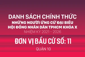 Đơn vị bầu cử số: 11 (quận 10)