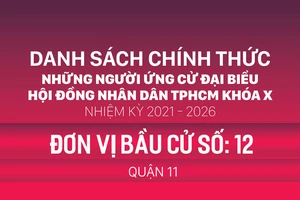 Đơn vị bầu cử số: 12 (quận 11)