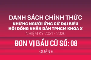 Đơn vị bầu cử số: 08 (quận 6)