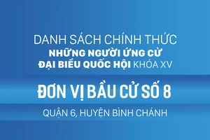 Đơn vị bầu cử số 8 (quận 6, huyện Bình Chánh)