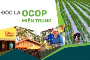 Độc lạ OCOP miền Trung