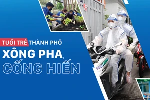 Tuổi trẻ thành phố xông pha, cống hiến