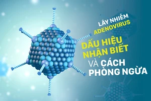 Lây nhiễm Adenovirus - Dấu hiệu nhận biết và cách phòng ngừa