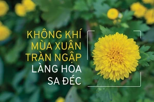 Không khí mùa xuân tràn ngập Làng hoa Sa Đéc