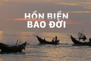 Hồn biển bao đời