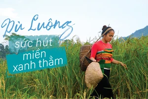 Pù Luông - Sức hút nơi miền xanh thẳm