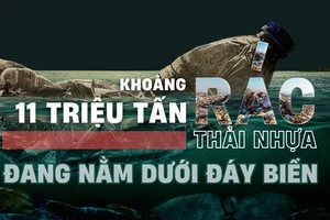 Khoảng 11 triệu tấn rác thải nhựa đang nằm dưới đáy biển