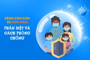 Bệnh cảm cúm và cúm mùa: Phân biệt và cách phòng chống