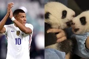 Mbappe - "Cha đỡ đầu" của cặp gấu trúc sinh đôi tại Pháp