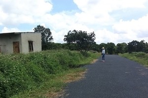 Speculators cause land fever in Southern provinces