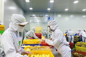 Investment in cold storage needed for proactive export of agricultural products