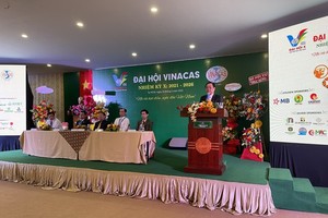 Cashew industry sets export target at US$3.8 billion in 2022