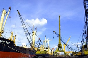 Mekong Delta needs proper investment in logistics infrastructure