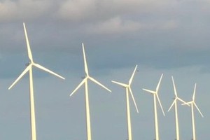 First wind power plant in Ca Mau Province inaugurated