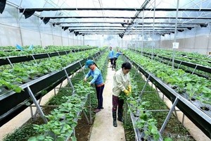 NIC AU to hold Int’l Conference on High Quality Agriculture