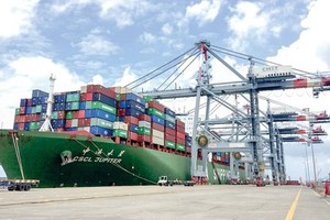 Five-month import-export turnover up 15.6 percent